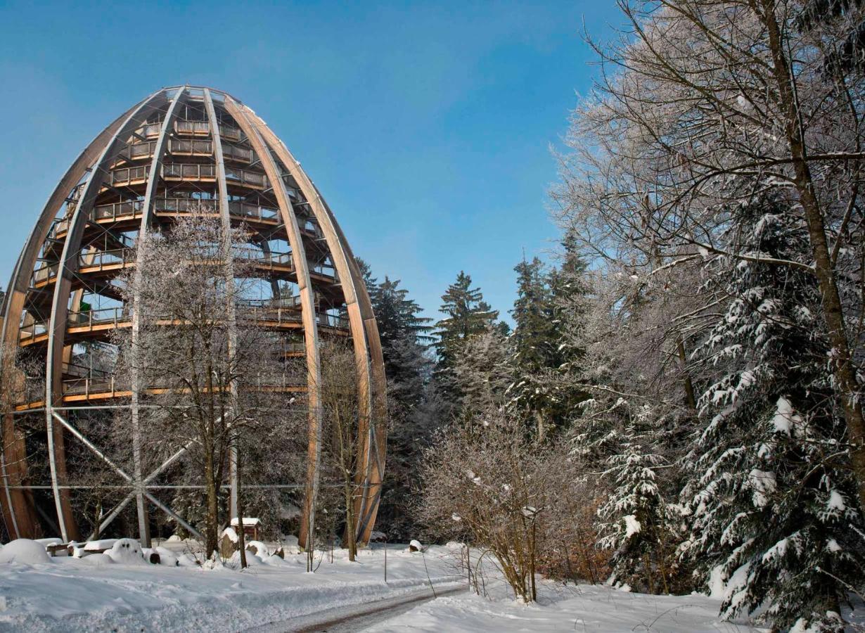 Ferienwohnung Im Landhaus Am Nationalpark Ludwigsthal Buitenkant foto