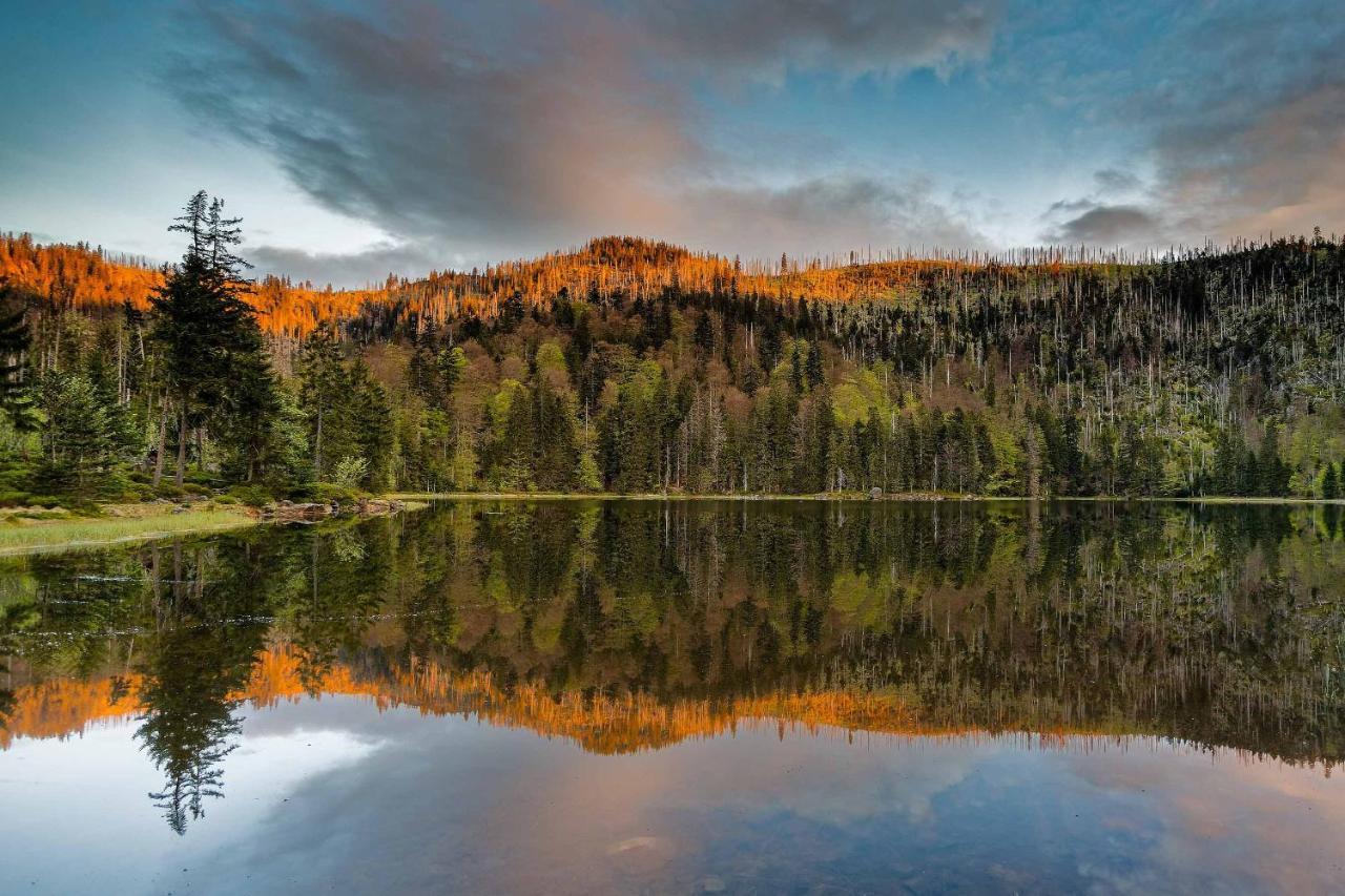 Ferienwohnung Im Landhaus Am Nationalpark Ludwigsthal Buitenkant foto